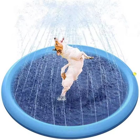 Tapis d’Eau pour Chiens